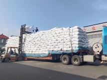 把握機(jī)遇、鉚足干勁、承勢(shì)而上
